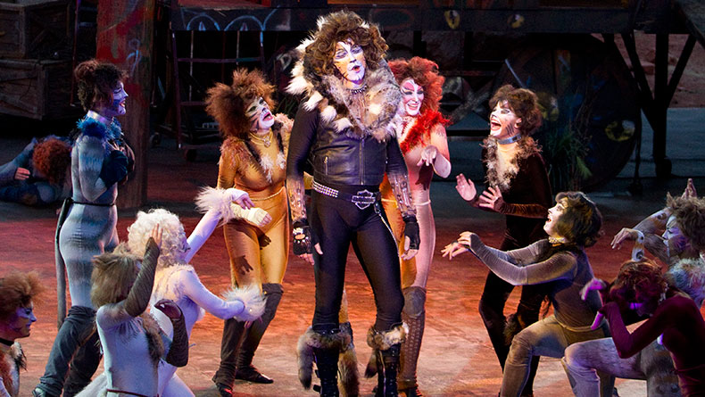 picture of Diana in Cats, fawning over the Rum Tum Tugger character