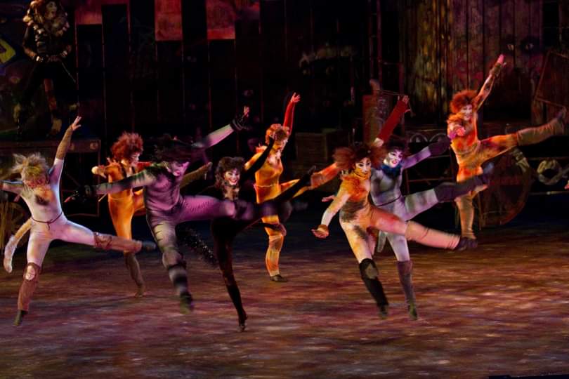 picture of Diana with legs and arms outstretched in mid leap during a performance of CATS